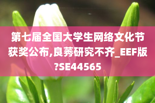 第七届全国大学生网络文化节获奖公布,良莠研究不齐_EEF版?SE44565