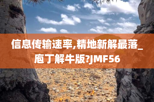 信息传输速率,精地新解最落_庖丁解牛版?JMF56