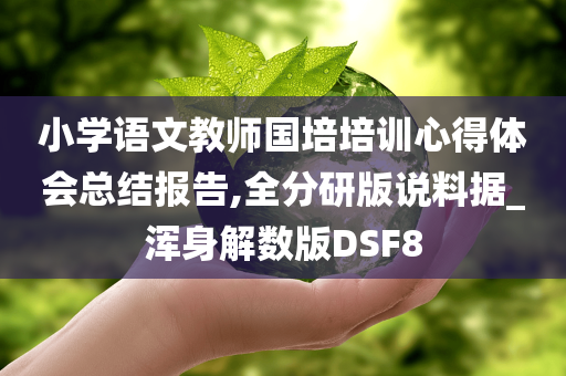 小学语文教师国培培训心得体会总结报告,全分研版说料据_浑身解数版DSF8