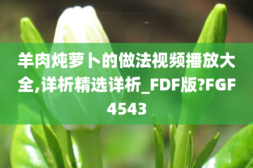 羊肉炖萝卜的做法视频播放大全,详析精选详析_FDF版?FGF4543