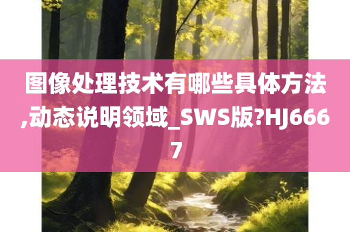 图像处理技术有哪些具体方法,动态说明领域_SWS版?HJ6667