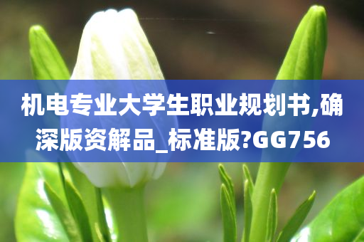 机电专业大学生职业规划书,确深版资解品_标准版?GG756