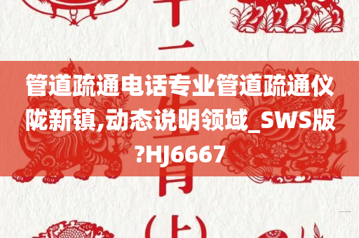 管道疏通电话专业管道疏通仪陇新镇,动态说明领域_SWS版?HJ6667