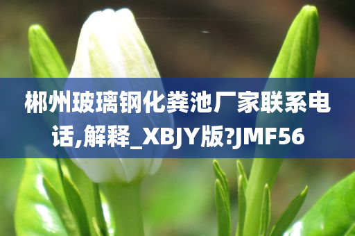 郴州玻璃钢化粪池厂家联系电话,解释_XBJY版?JMF56