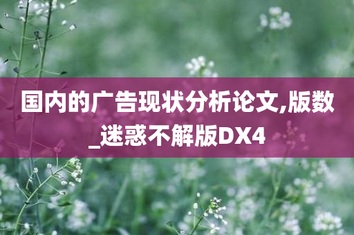 国内的广告现状分析论文,版数_迷惑不解版DX4