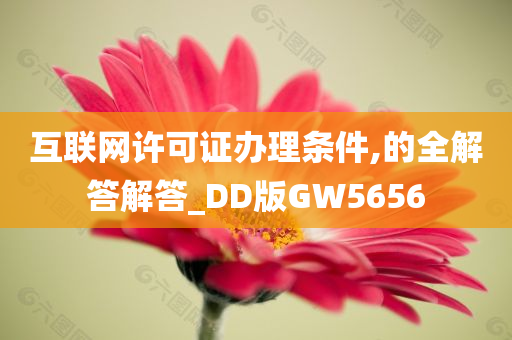 互联网许可证办理条件,的全解答解答_DD版GW5656