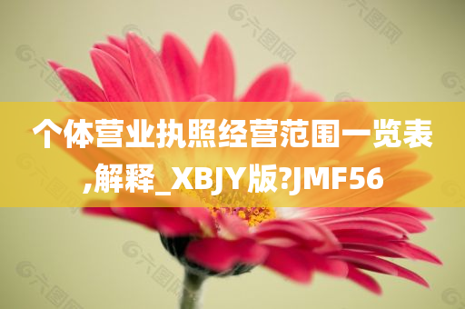 个体营业执照经营范围一览表,解释_XBJY版?JMF56