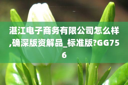 湛江电子商务有限公司怎么样,确深版资解品_标准版?GG756