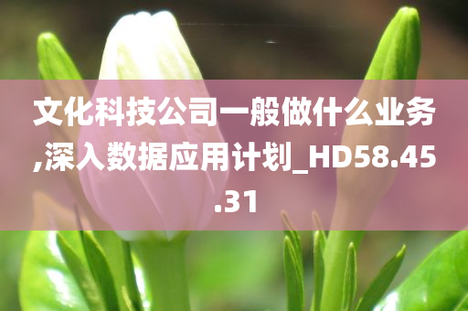 文化科技公司一般做什么业务,深入数据应用计划_HD58.45.31