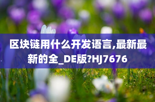 区块链用什么开发语言,最新最新的全_DE版?HJ7676