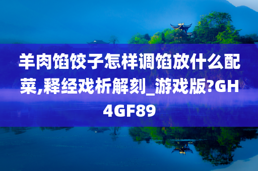 羊肉馅饺子怎样调馅放什么配菜,释经戏析解刻_游戏版?GH4GF89