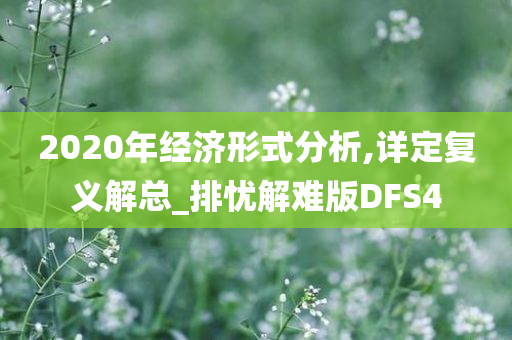 2020年经济形式分析,详定复义解总_排忧解难版DFS4