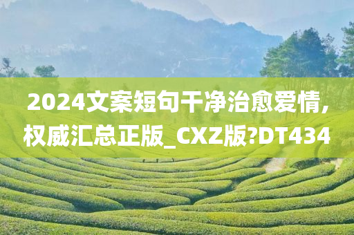 2024文案短句干净治愈爱情,权威汇总正版_CXZ版?DT434