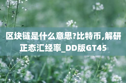 区块链是什么意思?比特币,解研正态汇经率_DD版GT45