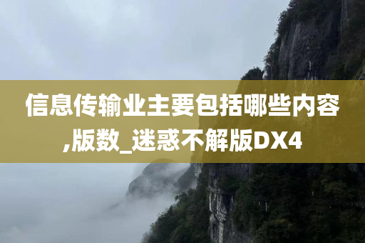 信息传输业主要包括哪些内容,版数_迷惑不解版DX4