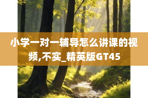 小学一对一辅导怎么讲课的视频,不实_精英版GT45