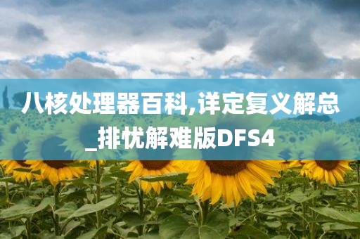 八核处理器百科,详定复义解总_排忧解难版DFS4