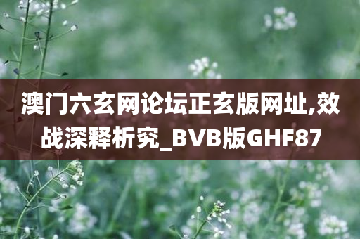 BVB版GHF87