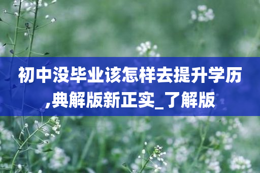 初中没毕业该怎样去提升学历,典解版新正实_了解版