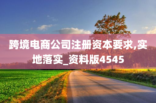 跨境电商公司注册资本要求,实地落实_资料版4545