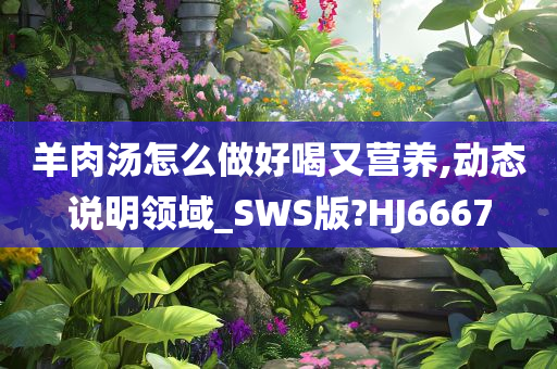 羊肉汤怎么做好喝又营养,动态说明领域_SWS版?HJ6667