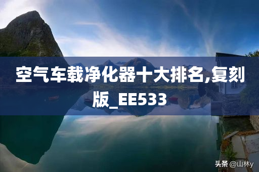 空气车载净化器十大排名,复刻版_EE533