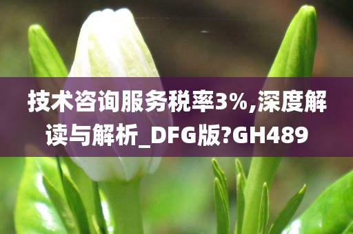 技术咨询服务税率3%,深度解读与解析_DFG版?GH489