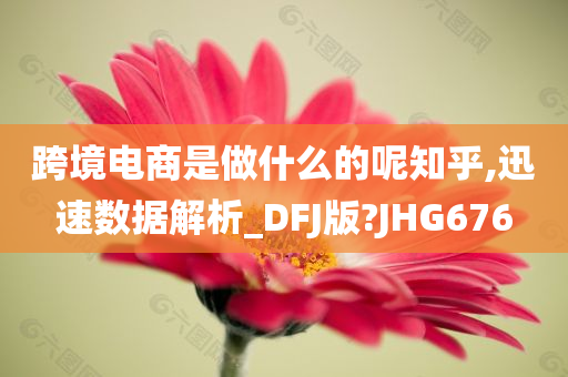 跨境电商是做什么的呢知乎,迅速数据解析_DFJ版?JHG676