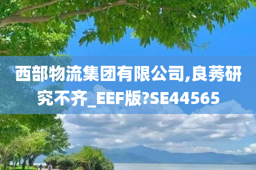 西部物流集团有限公司,良莠研究不齐_EEF版?SE44565