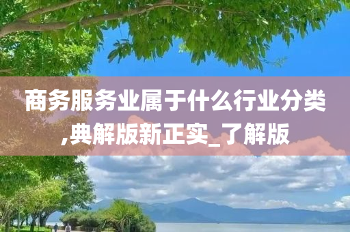 商务服务业属于什么行业分类,典解版新正实_了解版