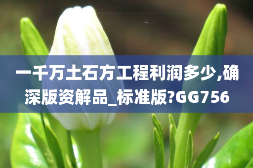 一千万土石方工程利润多少,确深版资解品_标准版?GG756