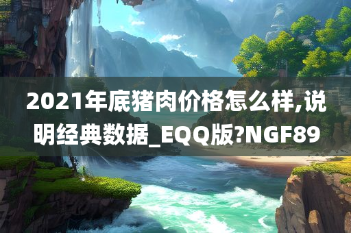 2021年底猪肉价格怎么样,说明经典数据_EQQ版?NGF89