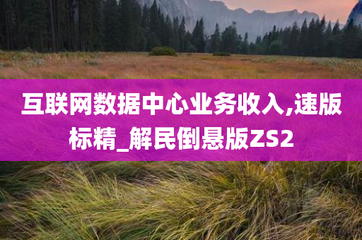 互联网数据中心业务收入,速版标精_解民倒悬版ZS2