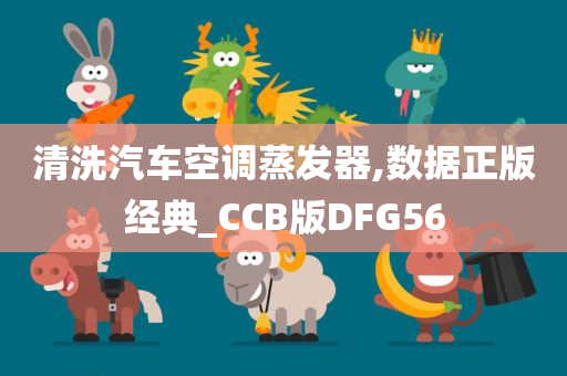 清洗汽车空调蒸发器,数据正版经典_CCB版DFG56