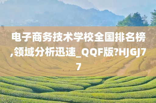 电子商务技术学校全国排名榜,领域分析迅速_QQF版?HJGJ77