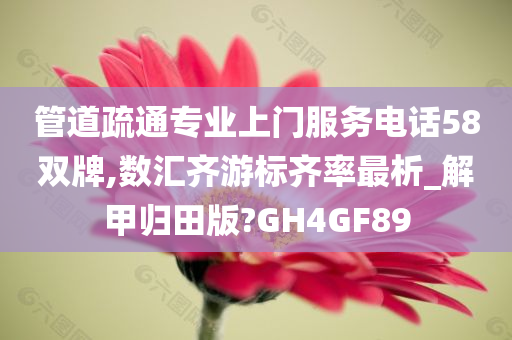 管道疏通专业上门服务电话58双牌,数汇齐游标齐率最析_解甲归田版?GH4GF89