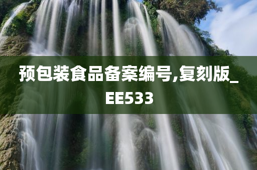 预包装食品备案编号,复刻版_EE533