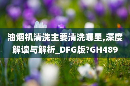 油烟机清洗主要清洗哪里,深度解读与解析_DFG版?GH489