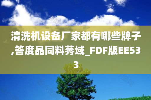 清洗机设备厂家都有哪些牌子,答度品同料莠域_FDF版EE533