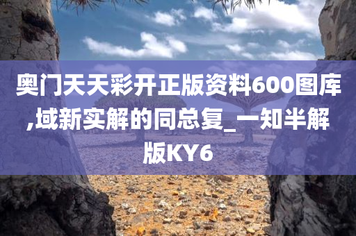 奥门天天彩开正版资料600图库,域新实解的同总复_一知半解版KY6