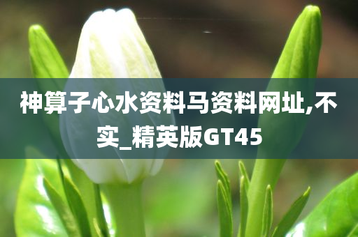 神算子心水资料马资料网址,不实_精英版GT45