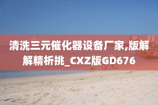 清洗三元催化器设备厂家,版解解精析挑_CXZ版GD676