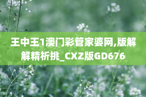 王中王1澳门彩管家婆网,版解解精析挑_CXZ版GD676