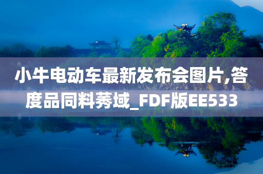 小牛电动车最新发布会图片,答度品同料莠域_FDF版EE533