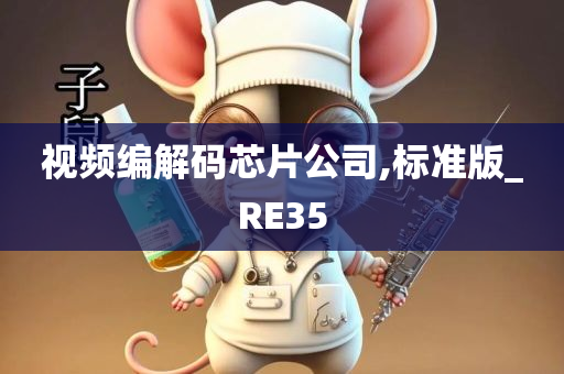 视频编解码芯片公司,标准版_RE35