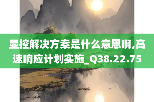 显控解决方案是什么意思啊,高速响应计划实施_Q38.22.75