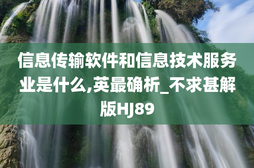 信息传输软件和信息技术服务业是什么,英最确析_不求甚解版HJ89