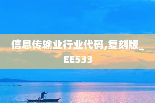 信息传输业行业代码,复刻版_EE533