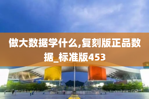 做大数据学什么,复刻版正品数据_标准版453