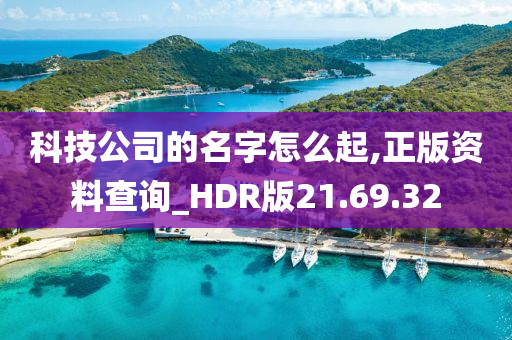 科技公司的名字怎么起,正版资料查询_HDR版21.69.32